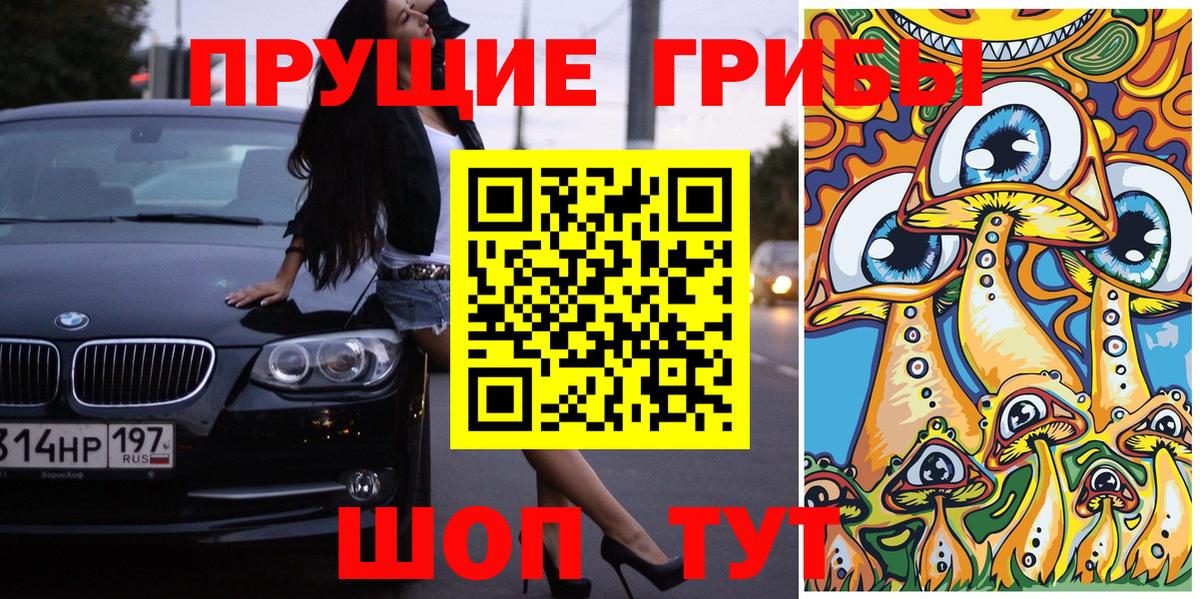 Псилоцибиновые грибы ЛСД  Псилоцибиновые грибы Cubensis  Аксай  наркота  Вход с VPN 